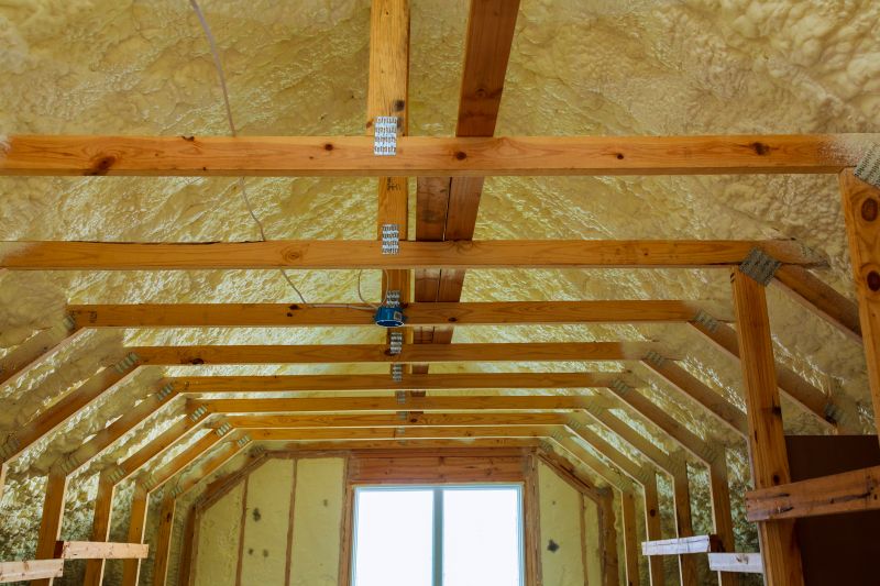 Rafter Insulation Installation in Georgetown, TX